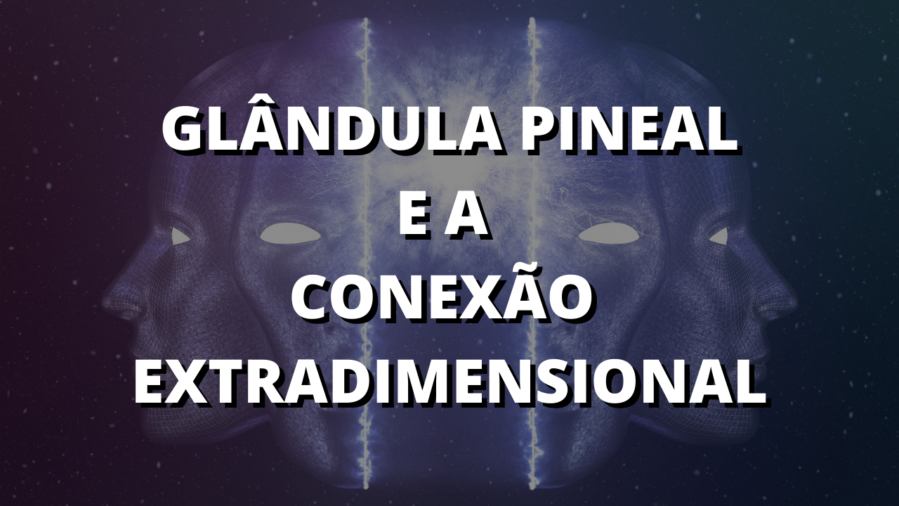 pineal - glândula pineal - terceiro olho - terceira visão - glândula pineal espiritualidade